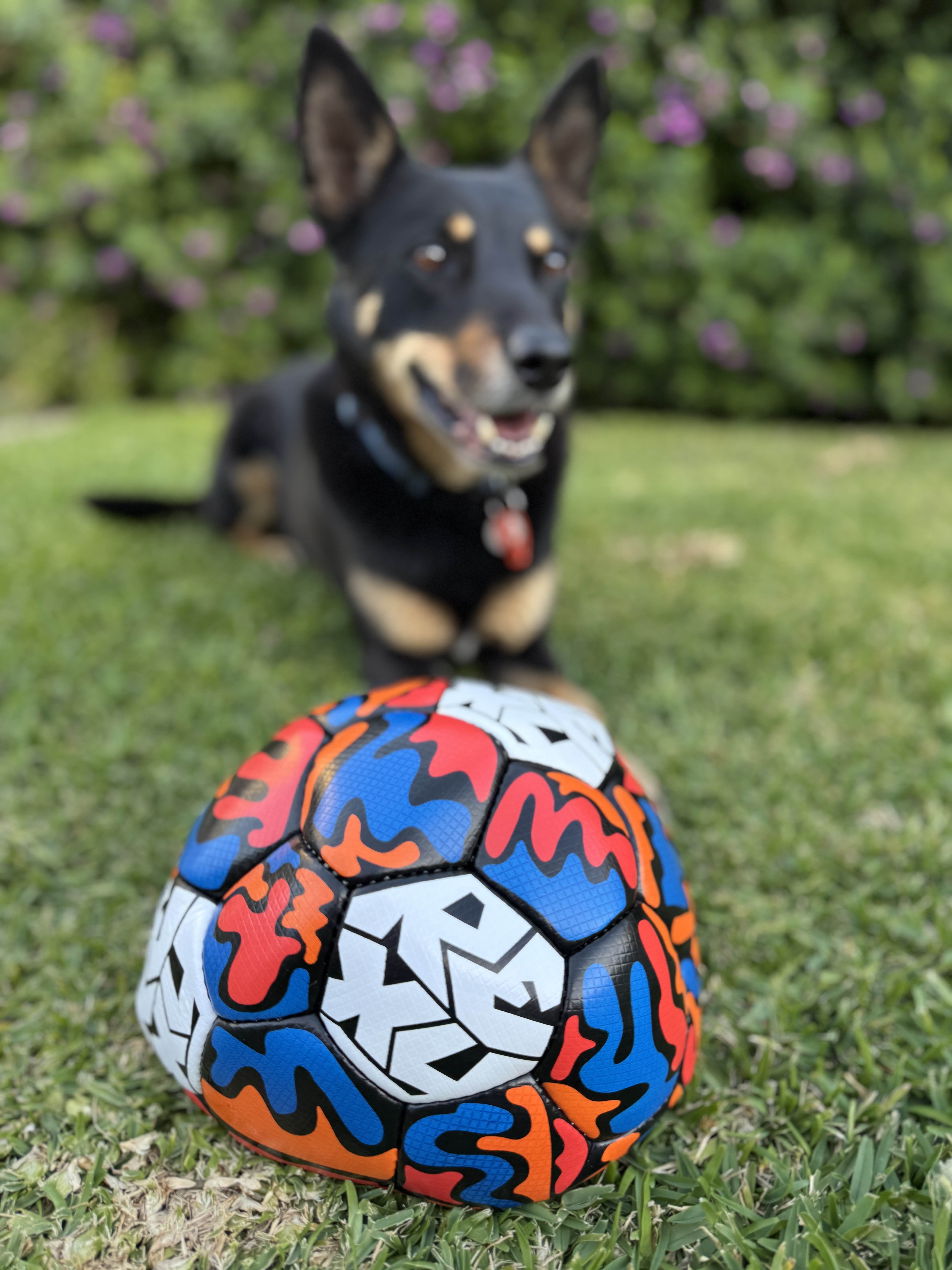 Rexy Dog Ball