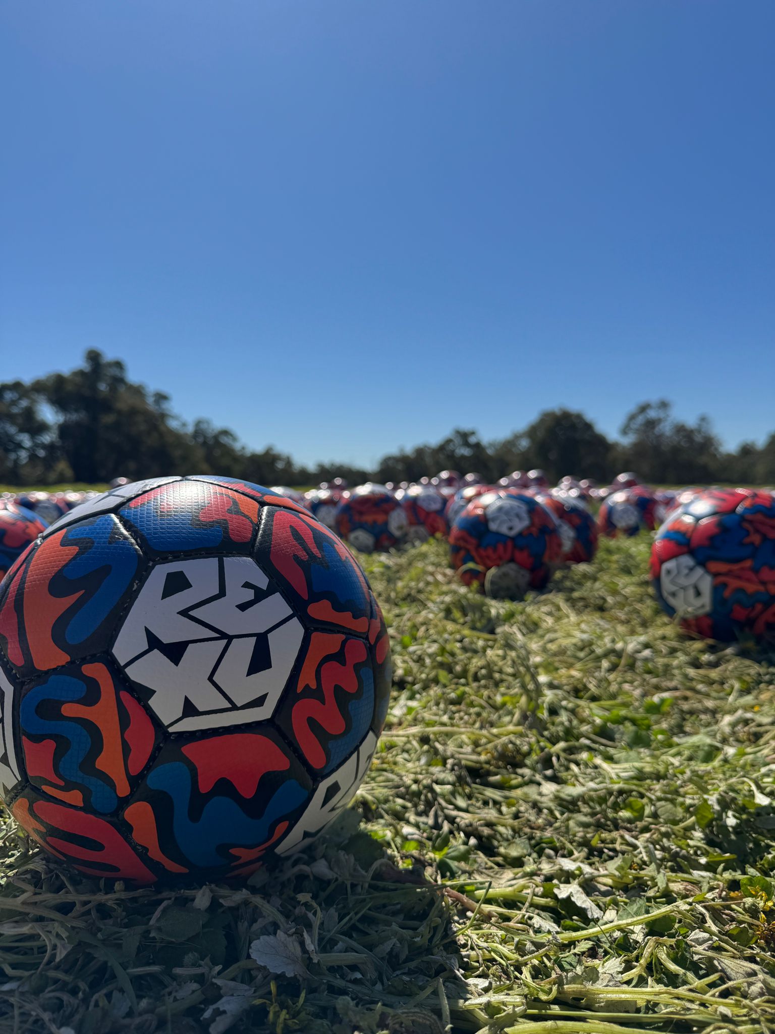 Custom Rexy Soccerball